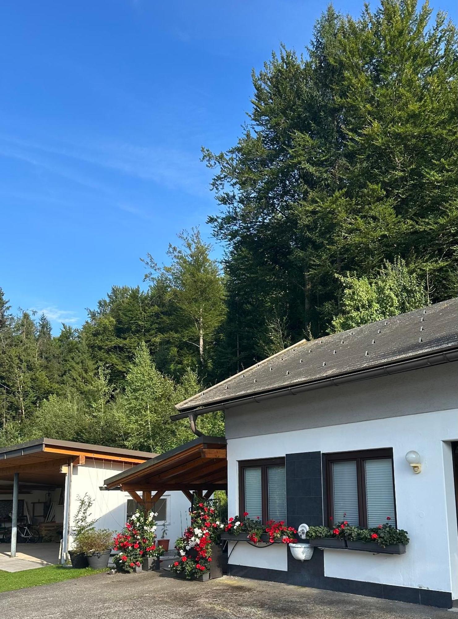 Ferienwohnung Waldblick, Faaker See Oberaichwald  Zewnętrze zdjęcie